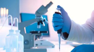 硬脂酸与氧化锌在 EVA 中的多元应用解析